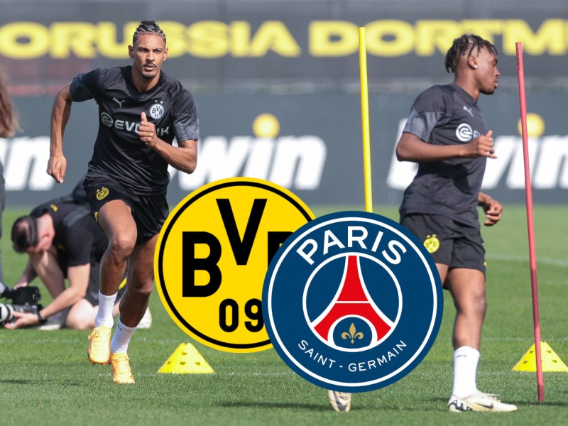 BVB PSG Haller
