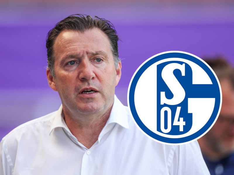 FC Schalke 04 Wilmots
