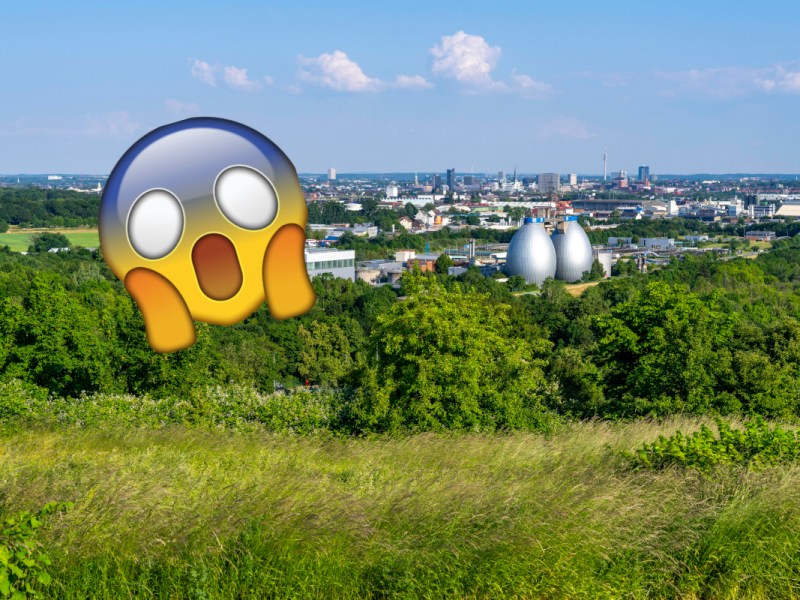 Dortmund: Gruselige Tiere schocken Einwohner.