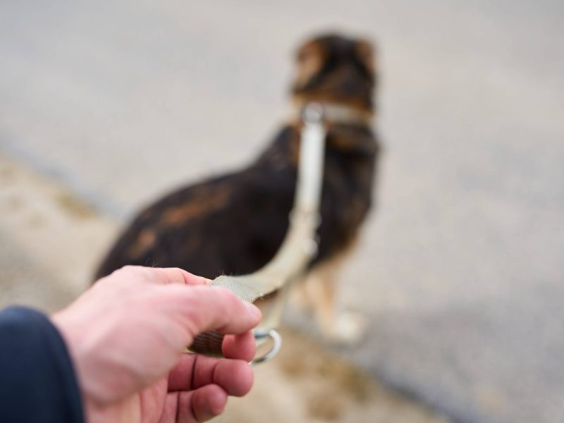 In Duisburg hat eine Penny-Kundin einen traurigem Fund gemacht.