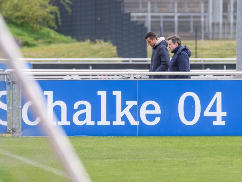 Ein Verantwortlicher des FC Schalke 04 hat tiefe Einblicke in die Transferarbeit des S04 gegeben. Dabei wurde der S04-Boss ziemlich deutlich.