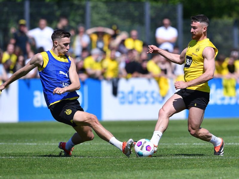 Borussia Dortmund: Salih Özcan