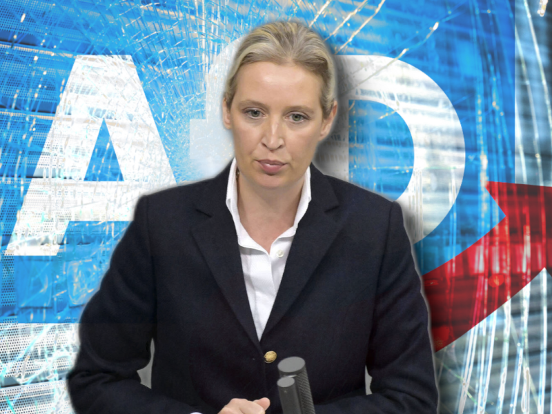 Kurz vor der Europawahl versinkt die AfD im Chaos - und die Hiobsbotschaften reißen nicht ab.