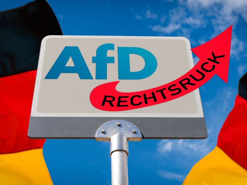 In einigen Regionen wie Hamburg konnte die AfD zur Europawahl kleingehalten werden.