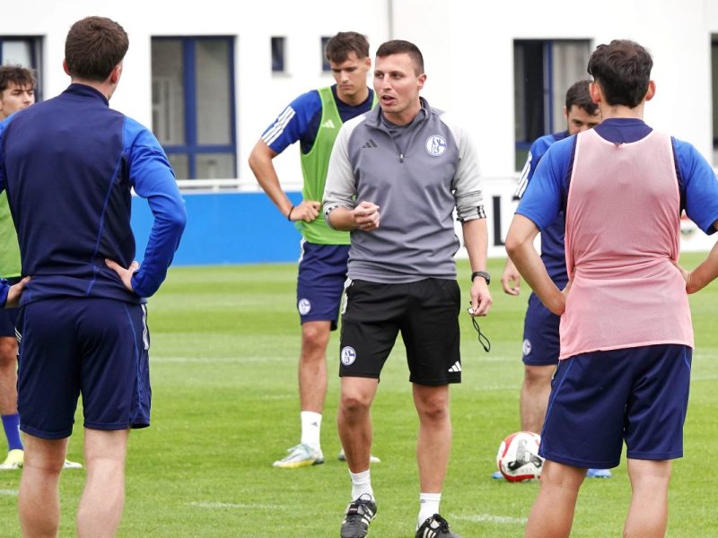 FC Schalke 04: Amin Younes