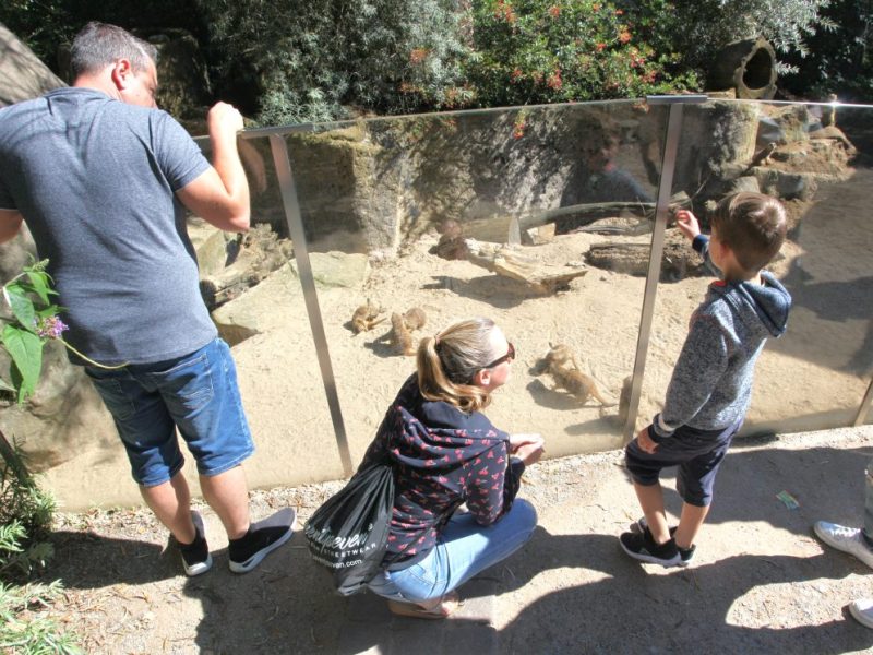Schock im Gehege im Zoom Gelsenkirchen