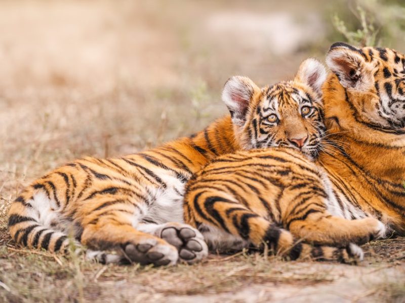 Ein Zoo in NRW teilte einzigartige Bilder