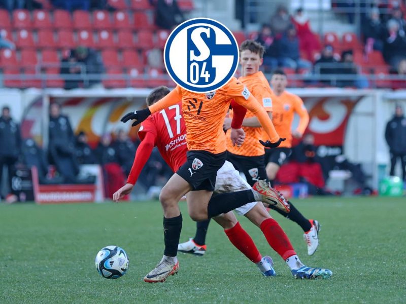 Der FC Schalke 04 ist weiterhin auf der Suche nach weiteren Neuzugängen. Ein Juwel aus der dritten Liga könnte enorm interessant werden.
