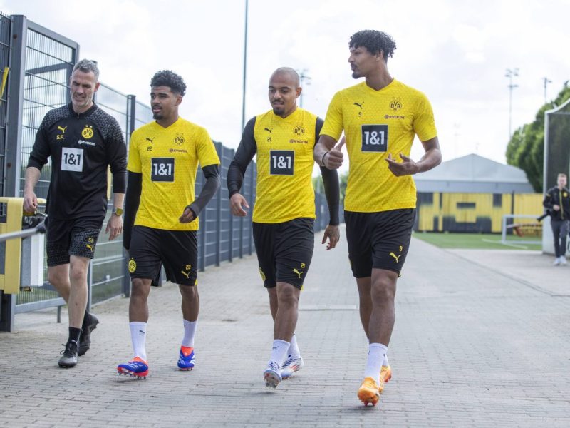 Borussia Dortmund: Donyell Malen