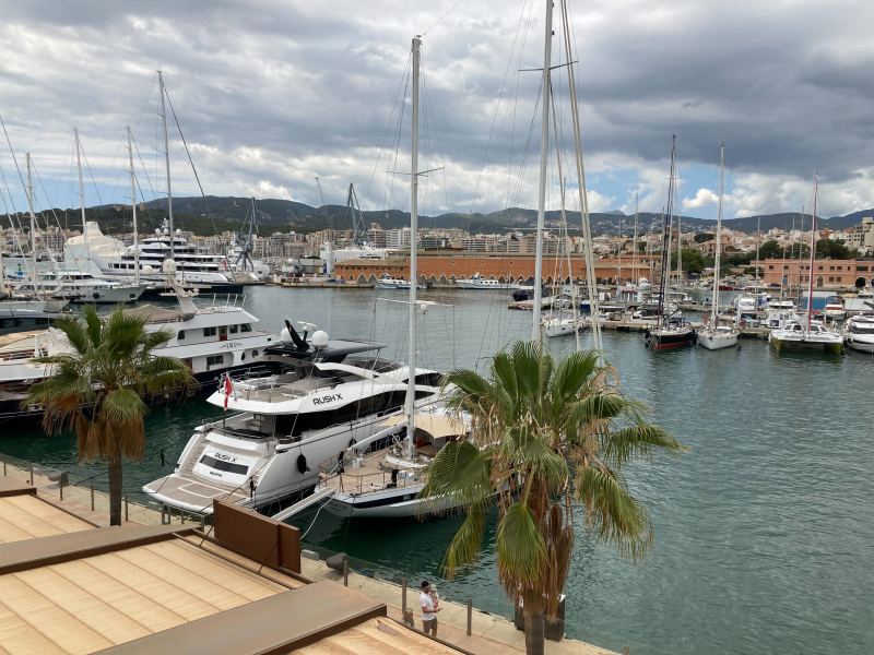 Traumhafter Blick auf die Stadt vom Hafen von Palma – die Rooftop-Bar SkyNudos ist ein Geheimtipp für den perfekten Sonnenuntergang.