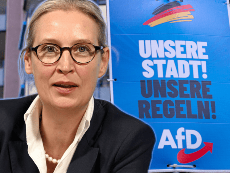 AfD-Wahlerfolge im Westen.