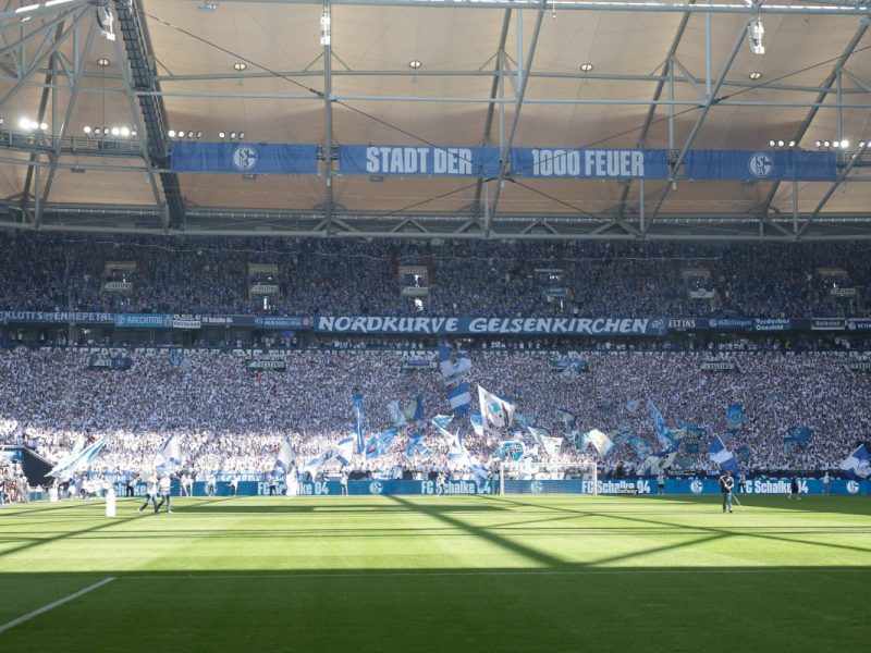 FC Schalke 04: DFL-Spielplan