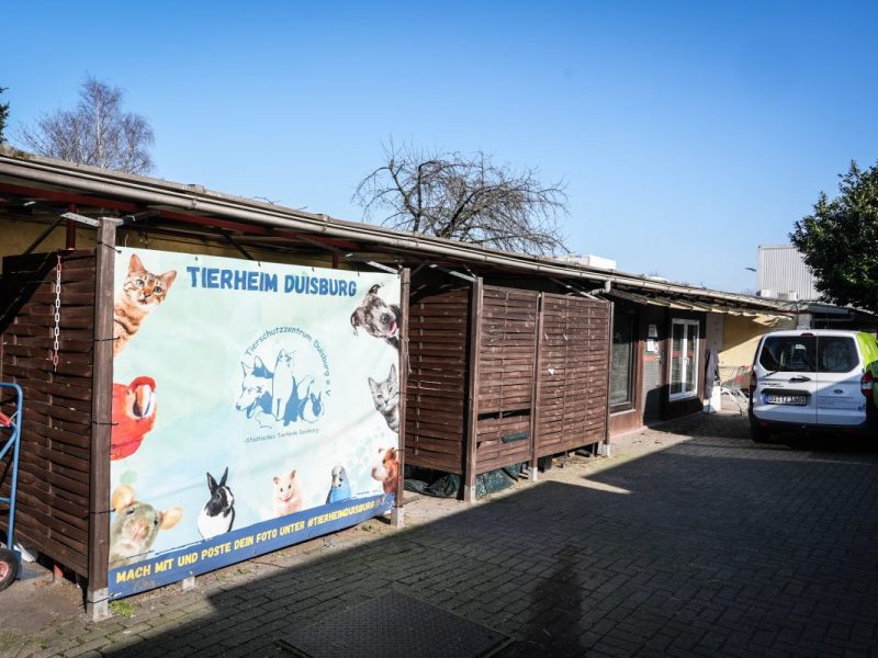 Mitarbeiter des Tierheims Duisburg machten eine üble Entdeckung!