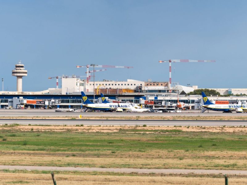 Urlaub auf Mallorca. Der Flughafen von Palma de Mallorca ist ebenfalls schwer getroffen von der IT-Panne am Freitag.