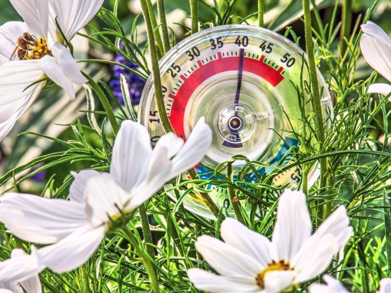 Das Wetter in NRW zeigt sich von der Sommer-Seite!