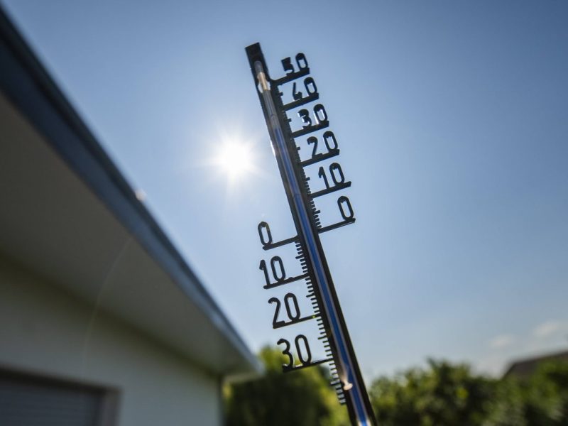 Wetter in NRW: So sieht der Sommer 2024 aus
