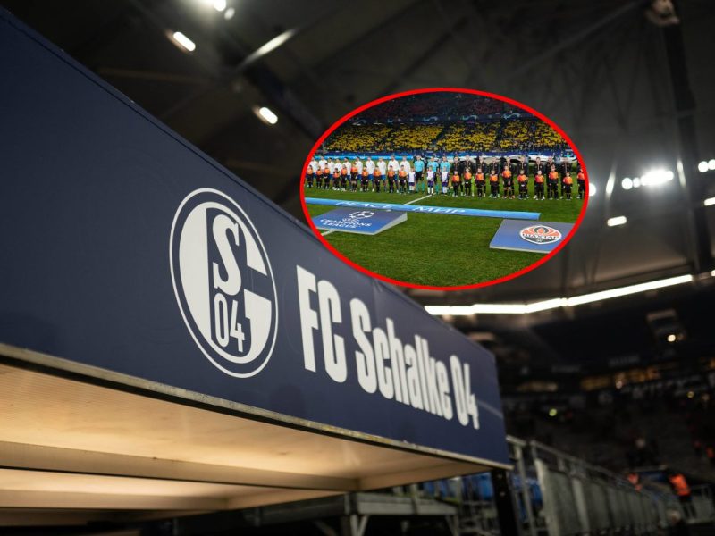 Große Neuigkeiten für Schalke 04! Dem Pottklub gelang ein echter Coup - doch das könnte jetzt zum großen Alptraum für S04-Fans werden.