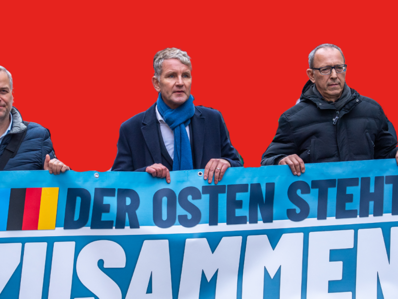 Mit gezielten Provokationen und der Schaffung von Feindbildern beeinflusst die AfD den politischen Diskurs im Osten Deutschlands. Warum punktet die AfD besonders im Osten der Bundesrepublik?