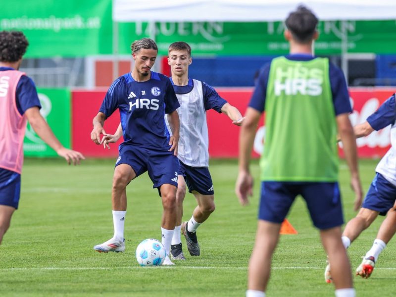 FC Schalke 04: Taylan Bulut