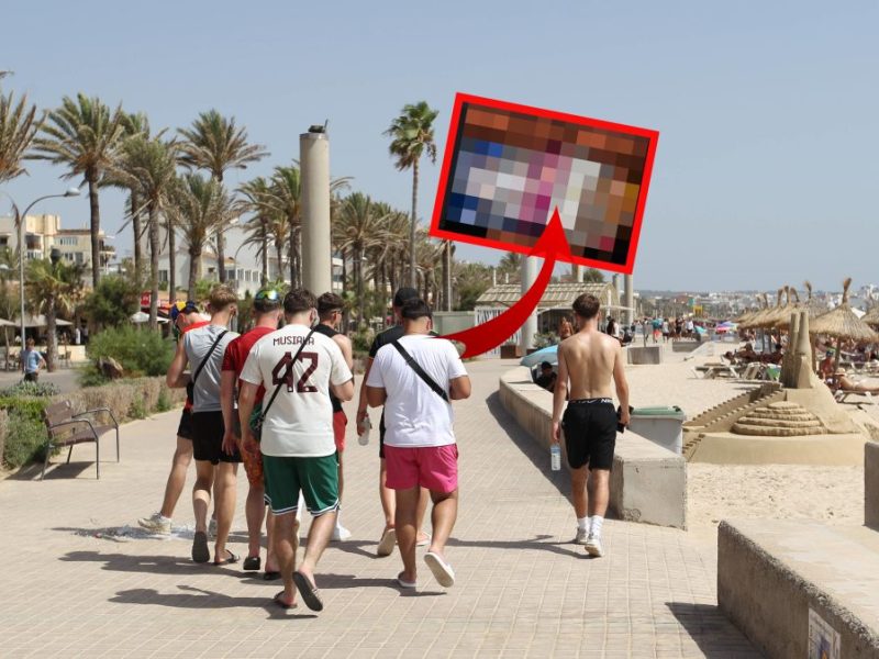 Ballermann Malle Cards