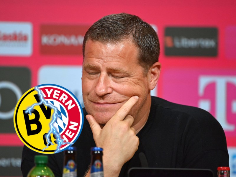 BVB Bayern Muenchen