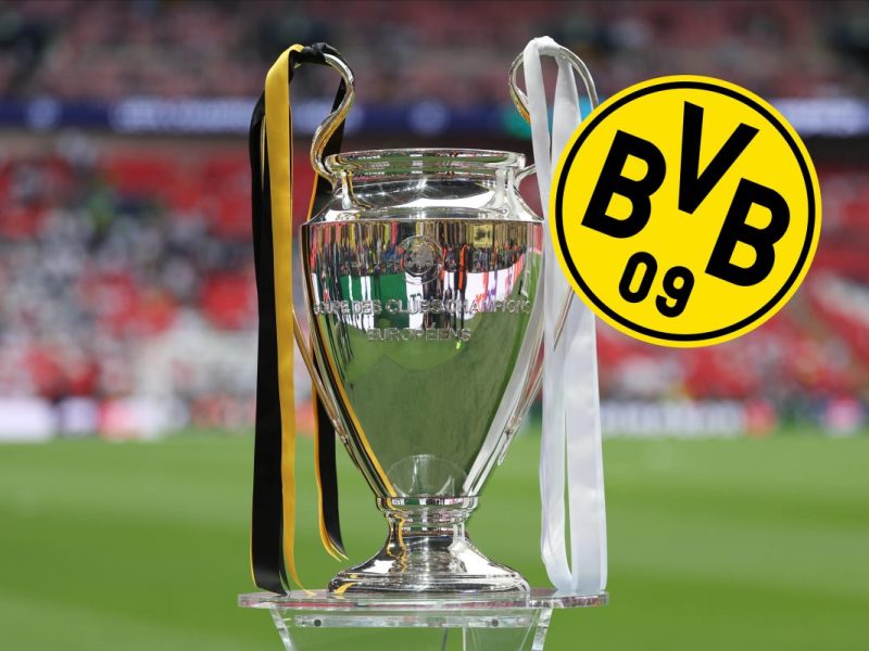 Borussia Dortmund will wieder um die Champions League kämpfen.