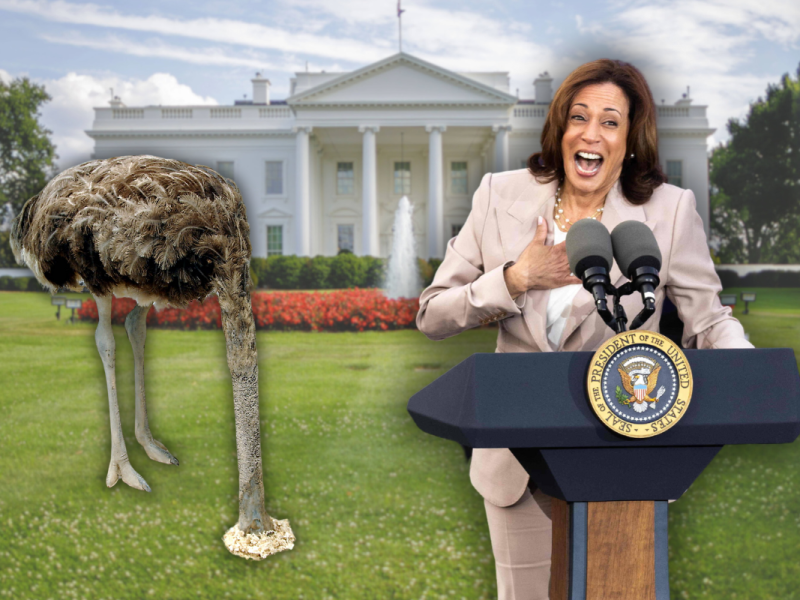 Trumps einst aggressive Wahlkampfstrategie scheint ins Stocken geraten zu sein. Während Kamala Harris aufholt, fehlen dem Ex-Präsidenten die klaren Worte und überzeugenden Angriffe.