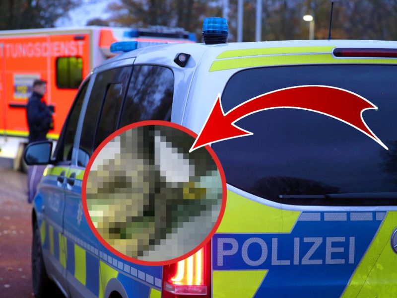 duisburg schlange polizei