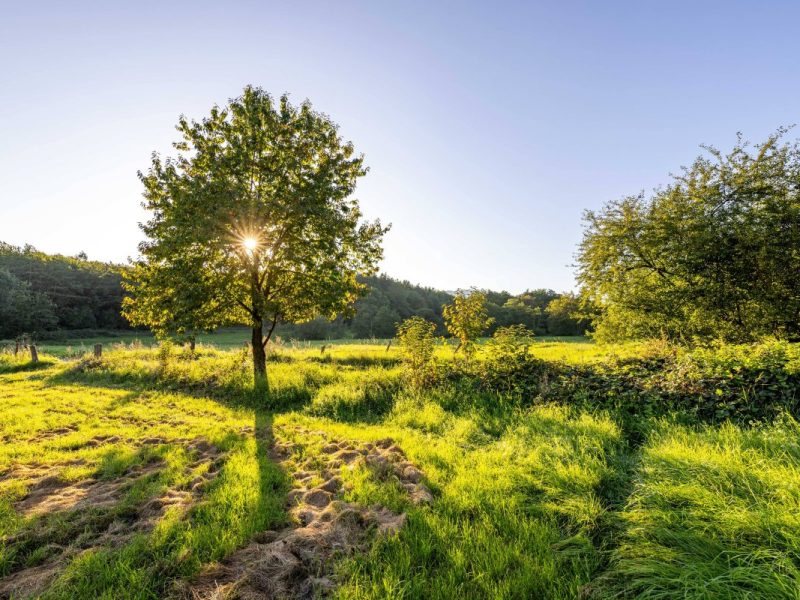 Wetter in NRW: Experte prognostiziert Herbstanfang