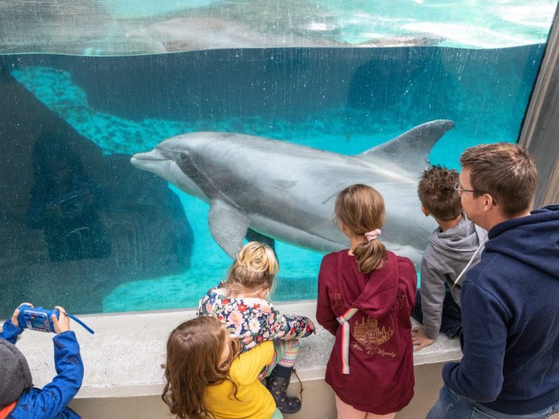 Demo im Zoo Duisburg gegen Delfinhaltung