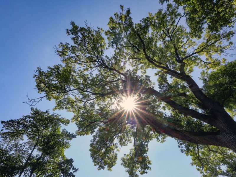 Das Wetter in NRW bringt den Sommer wieder