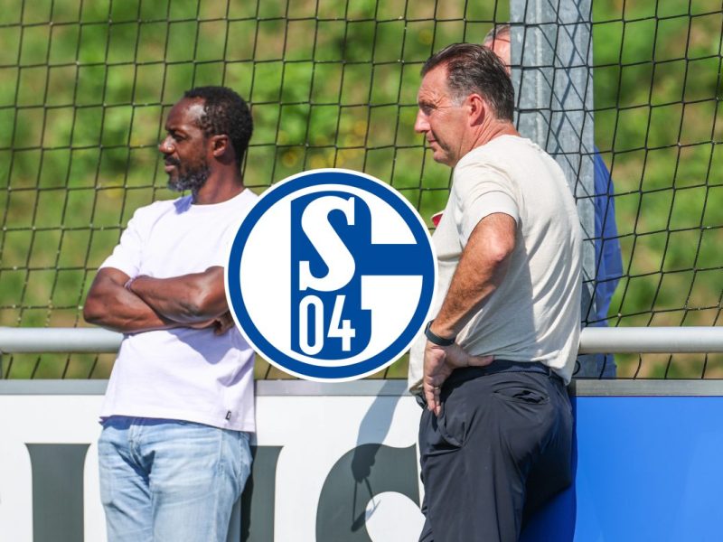 Der FC Schalke 04 hat weitere Statements auf dem Transfermarkt gesetzt! Königsblau konnte neue Transfer-Coups landen.