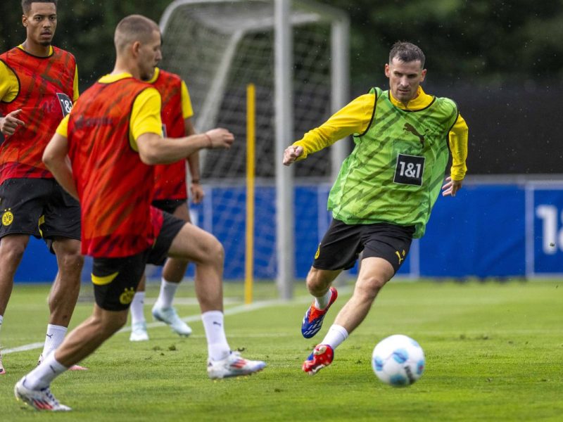 Die Fans von Borussia Dortmund sind völlig aus dem Häuschen. Ein BVB-Neuzugang überrascht alle Borussen-Anhänger.