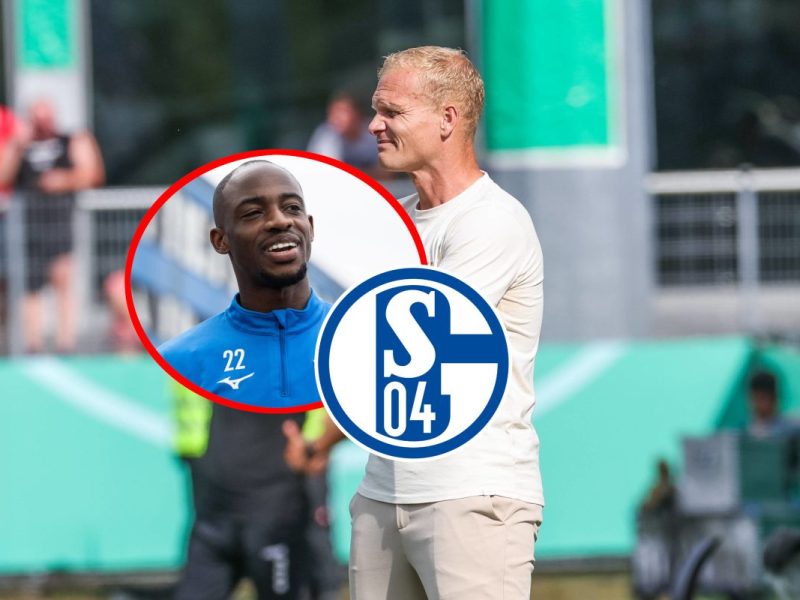 Der FC Schalke 04 hat mit Christopher Antwi-Adjei einen weiteren Neuen an Board geholt. Plötzlich steht Karel Geraerts vor einem Problem.