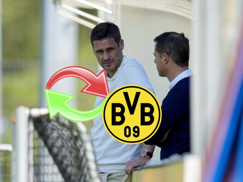 Dieser Neuzugang dürfte wohl den allermeisten Fans von Borussia Dortmund entgangen sein. Er dürfte für Nuri Sahin enorm wichtig werden.