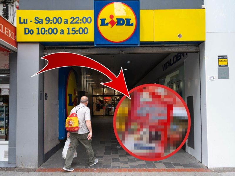 lidl halloren