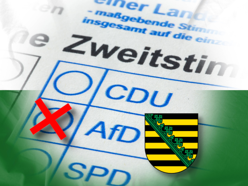 U18 vor Sachsen-Wahl: AfD gewinnt