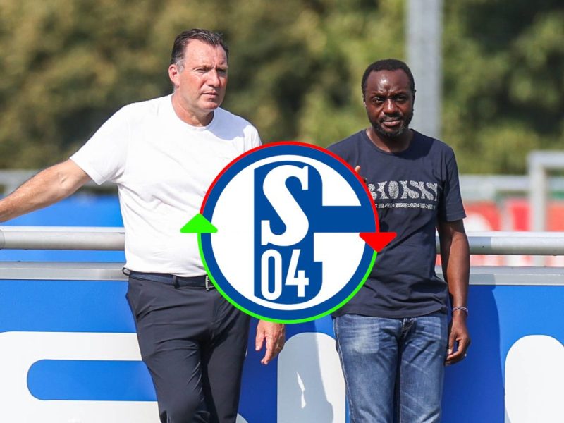 Der FC Schalke 04 holt einen neuen Spieler.
