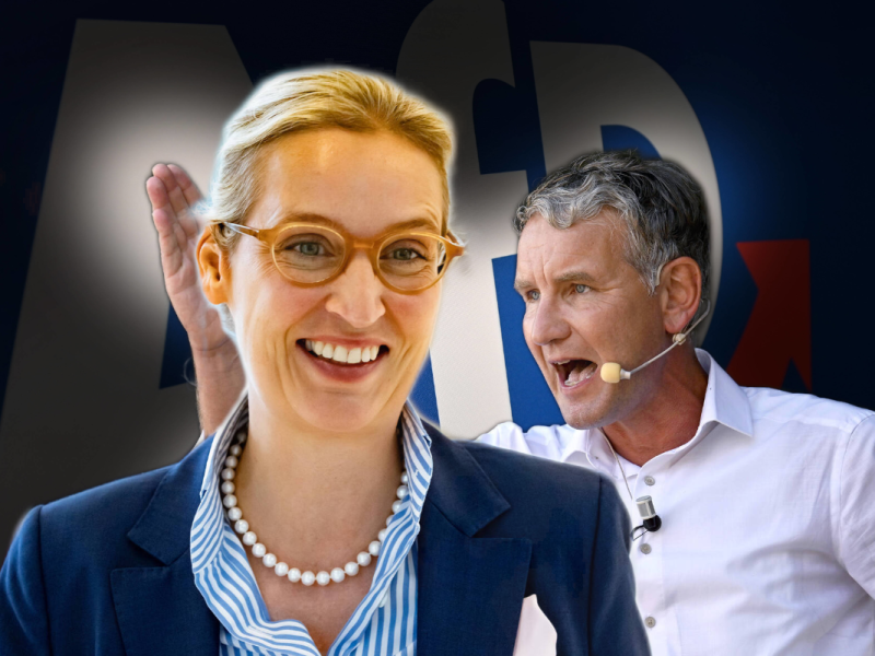 AfD-Chefin Weidel stärkt Höcke den Rücken - obwohl sie ihn einst vom Hof jagen wollte.