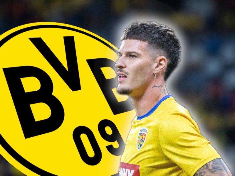 BVB Man