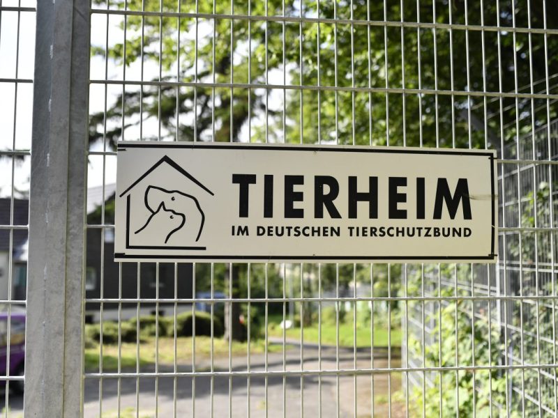 Tierheim