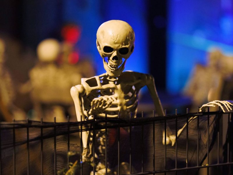 Fort Fun macht eine Ankündigung