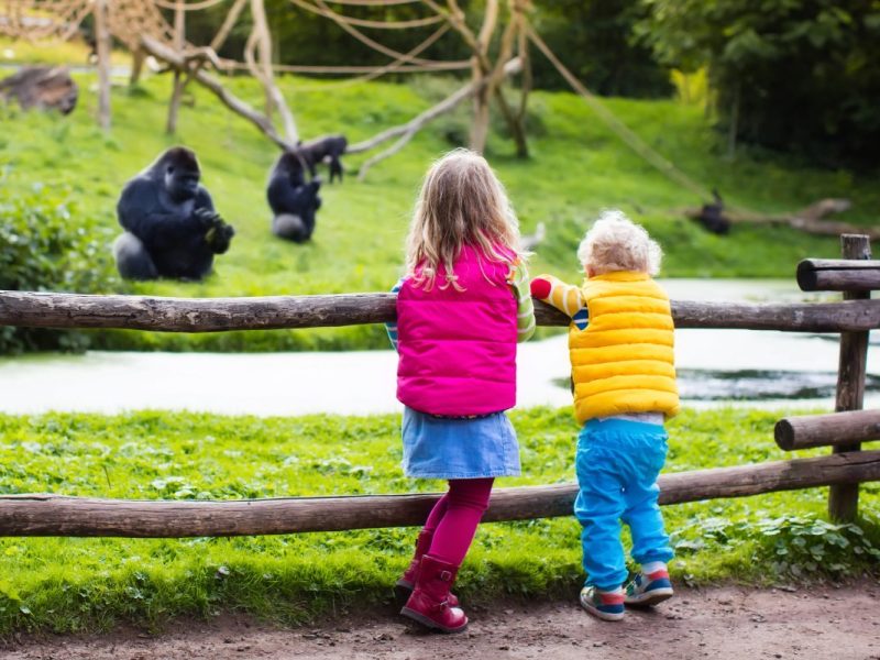 Zoos in NRW