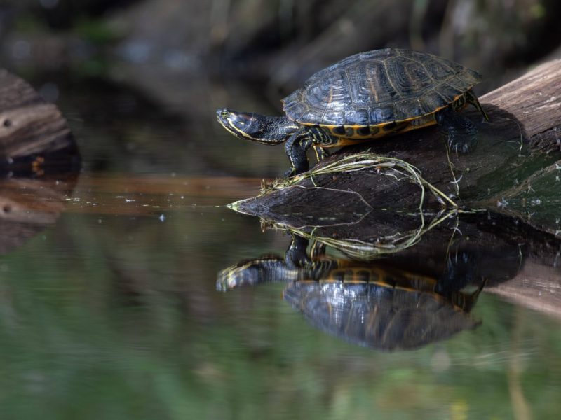 Der Zoo Münster verkündet frohe Botschaften