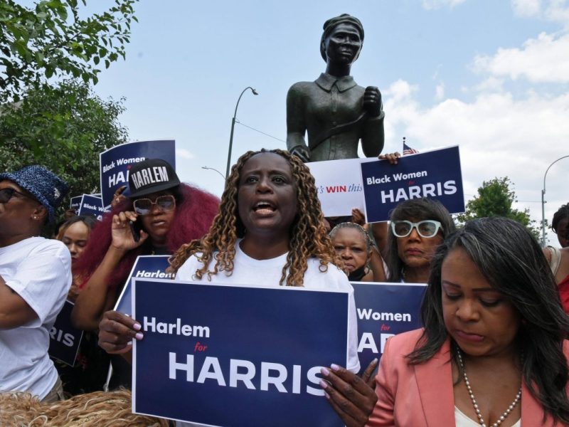 Während der US-Wahl 2024 haben weiße Wähler durch das Electoral College mehr Einfluss als nicht-weiße Bürger. Wir werfen einen Blick auf die ethnischen Ungleichheiten im US-Wahlsystem.