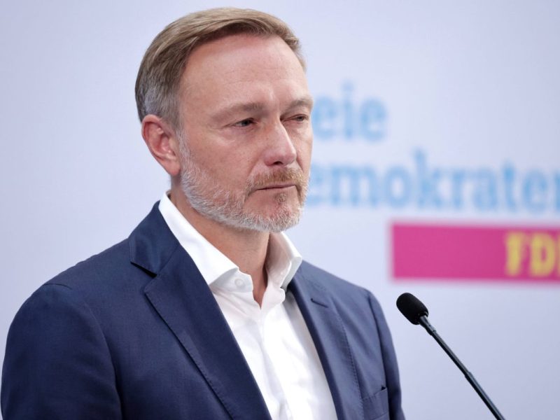 Die FDP fordert die Einführung von Grenzkontrollen.