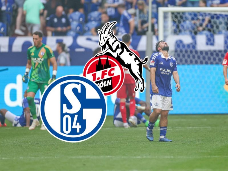 Der FC Schalke 04 ist auf dem Boden der Tatsachen angekommen. Nach der verdienten Heimpleite gegen Köln wollen die Fans nur eine Sache sehen.