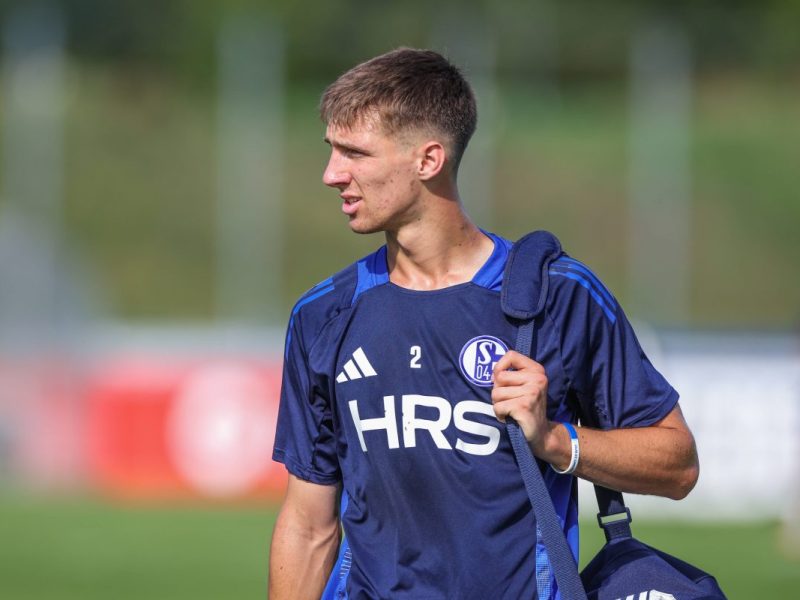 Felipe Sanchez soll dem FC Schalke 04 langfristig helfen.