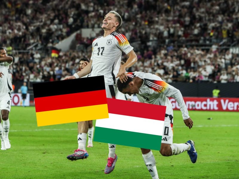 Im Spiel Deutschland - Ungarn sorgte vor allem eine Szene für Aufsehen. Die Fans waren völlig aus dem Häuschen.