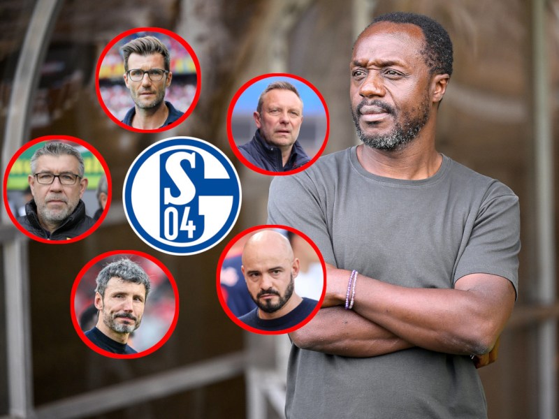 Schalke Trainer